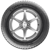 Lassa Competus Winter (215/60R17 100H)